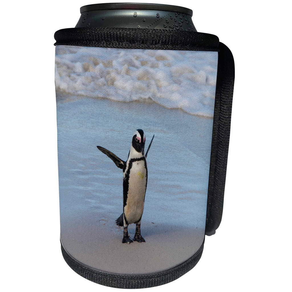 3dRose Danita Delimont - Penguin - South Africa, Cape Town, Boulders Beach, Penguin. - Can Cooler Bottle Wrap (cc_247220)