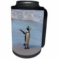 3dRose Danita Delimont - Penguin - South Africa, Cape Town, Boulders Beach, Penguin. - Can Cooler Bottle Wrap (cc_247220)
