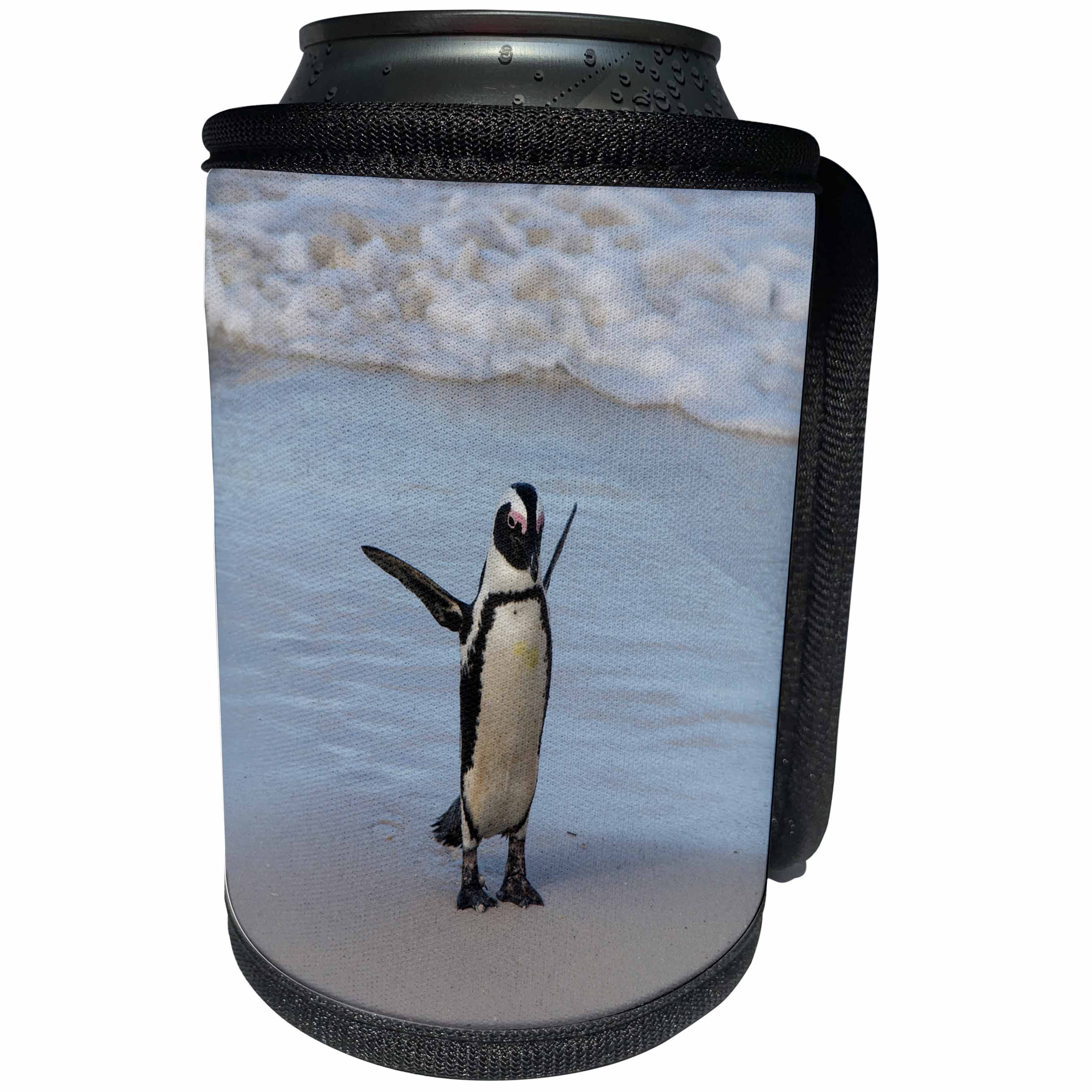 3dRose Danita Delimont - Penguin - South Africa, Cape Town, Boulders Beach, Penguin. - Can Cooler Bottle Wrap (cc_247220)