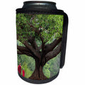 3dRose Danita Delimont - Myanmar - Myanmar, Pindaya. Buddhist monks under giant banyan tree. - Can Cooler Bottle Wrap (cc_247276)