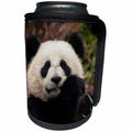 3dRose Danita Delimont - Panda - China, Chengdu Panda Base. Close-up of young giant panda. - Can Cooler Bottle Wrap (cc_247290)
