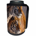 3dRose Danita Delimont - Tiger - China, Harbin, Siberian Tiger Park. Affectionate Siberian tigers. - Can Cooler Bottle Wrap (cc_247300)