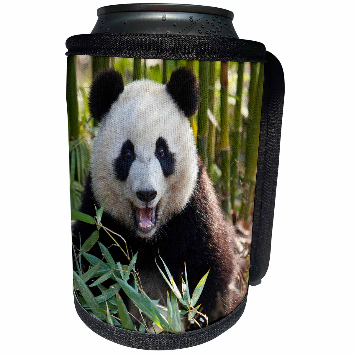 3dRose Danita Delimont - Panda - China, Chengdu, Chengdu Panda Base. Happy young giant panda. - Can Cooler Bottle Wrap (cc_247306)