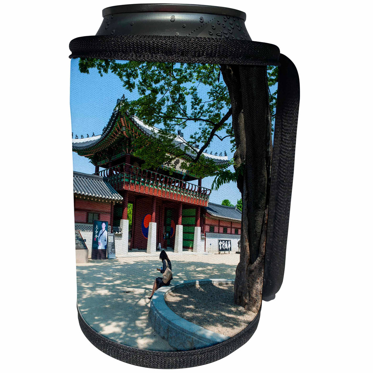 3dRose Danita Delimont - South Korea - Hwaseong Haenggung Palace, Fortress of Suwon, South Korea - Can Cooler Bottle Wrap (cc_247760)