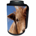 3dRose Danita Delimont - Mongolia - Inner Mongolian Cashmere goat, Western Mongolia. - Can Cooler Bottle Wrap (cc_247782)