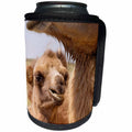 3dRose Danita Delimont - Mongolia - Mongolia, Lake Tolbo, Bactrian camels, Camelus bactrianus. - Can Cooler Bottle Wrap (cc_247784)