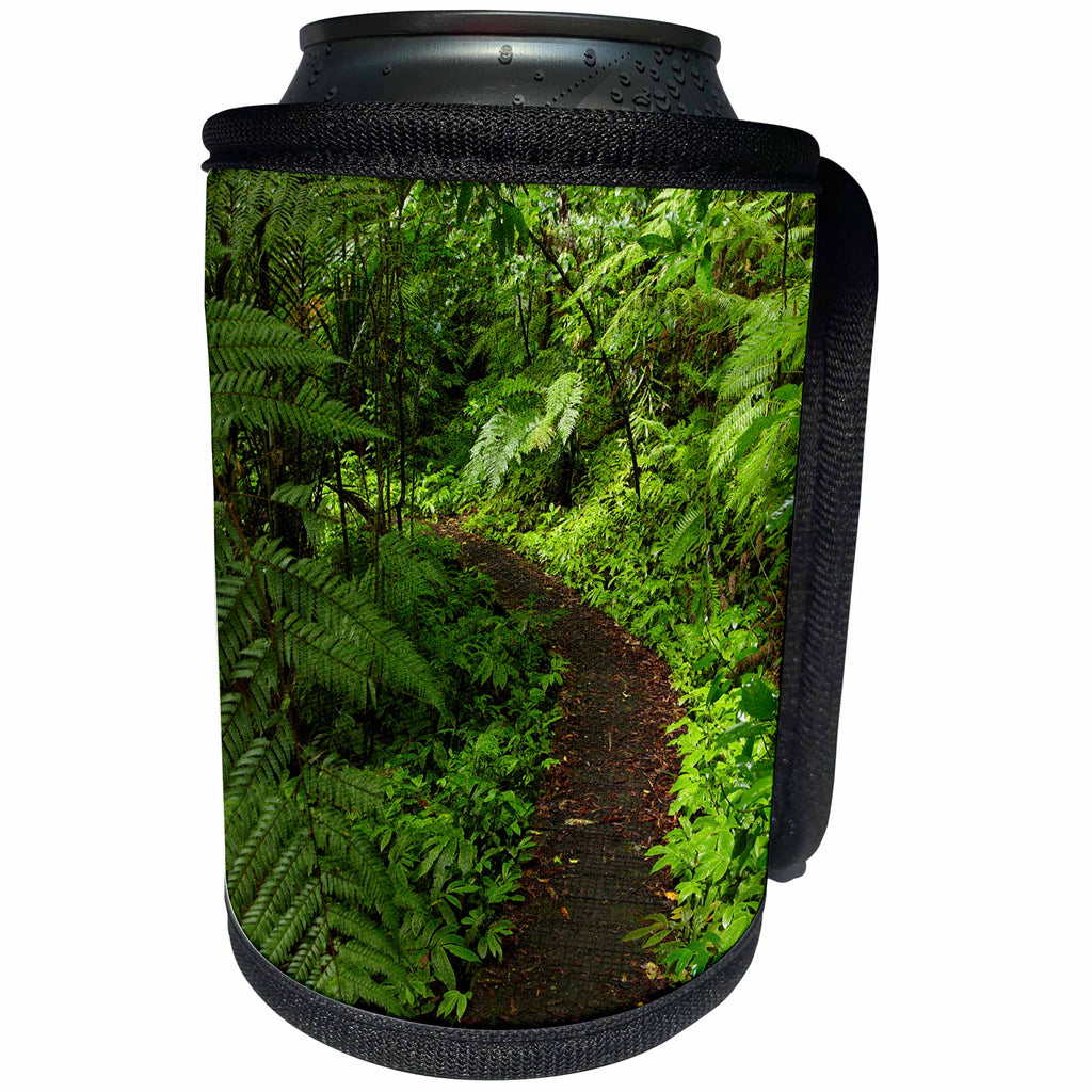 3dRose Danita Delimont - Auckland - Hunua Falls Loop Track, Hunua Rabges, Auckland, New Zealand - Can Cooler Bottle Wrap (cc_248259)