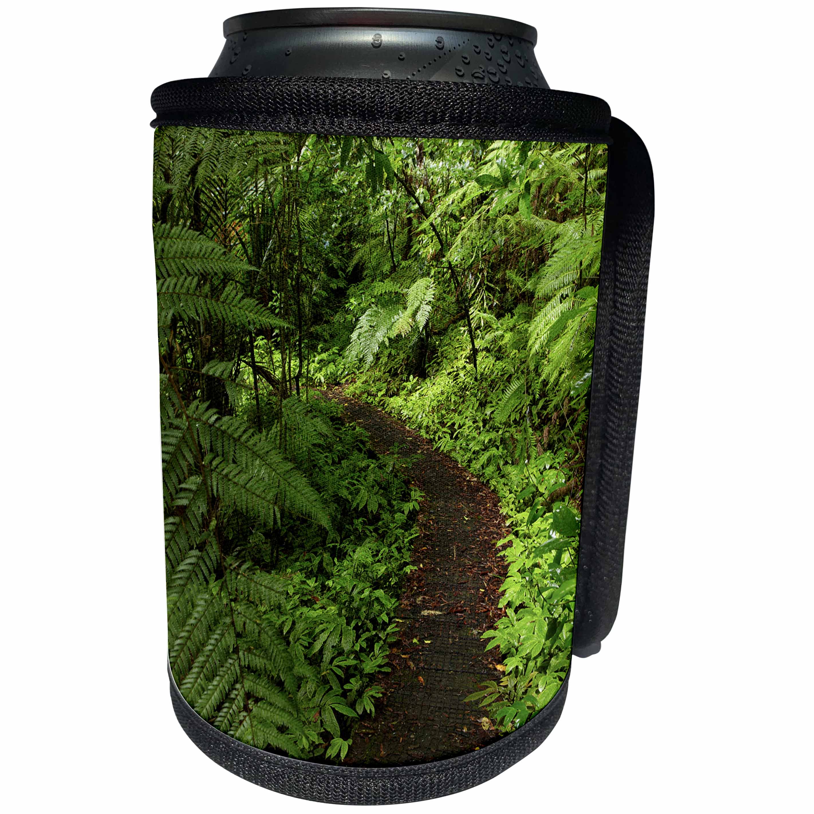 3dRose Danita Delimont - Auckland - Hunua Falls Loop Track, Hunua Rabges, Auckland, New Zealand - Can Cooler Bottle Wrap (cc_248259)