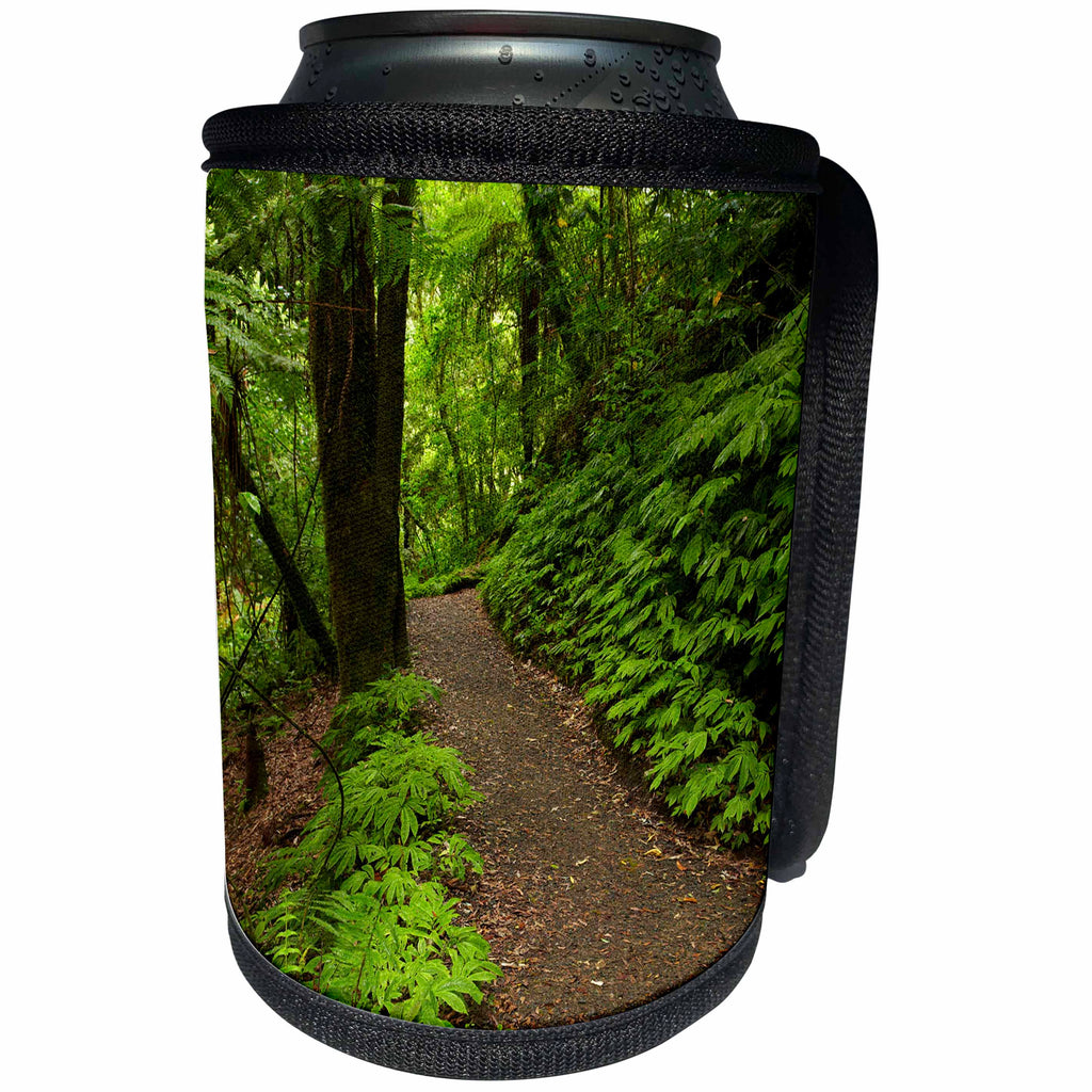 3dRose Danita Delimont - Waikato - Track to Mangapohue Natural Bridge, Waitomo District, New Zealand - Can Cooler Bottle Wrap (cc_248296)