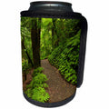 3dRose Danita Delimont - Waikato - Track to Mangapohue Natural Bridge, Waitomo District, New Zealand - Can Cooler Bottle Wrap (cc_248296)