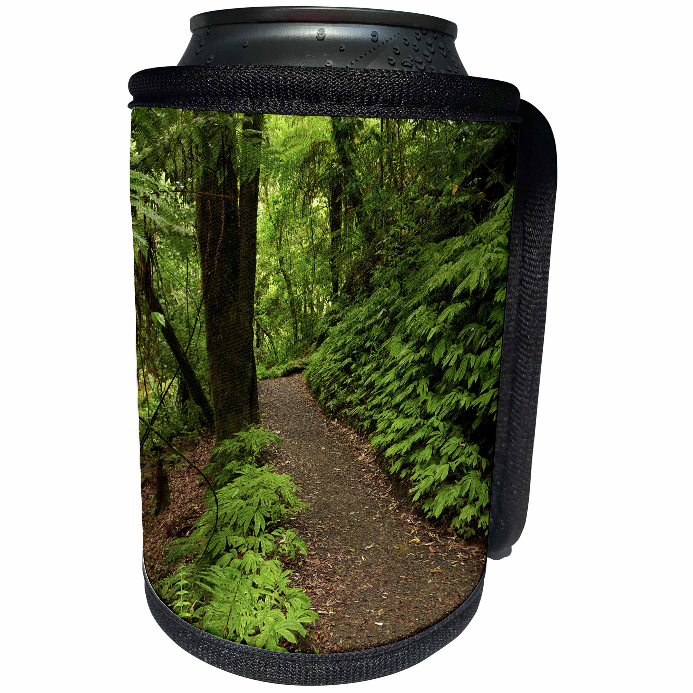 3dRose Danita Delimont - Waikato - Track to Mangapohue Natural Bridge, Waitomo District, New Zealand - Can Cooler Bottle Wrap (cc_248296)