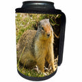 3dRose Danita Delimont - Squirrel - Columbia Ground Squirrel, Glacier National Park, British Columbia - Can Cooler Bottle Wrap (cc_248341)
