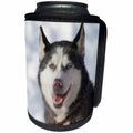 3dRose Danita Delimont - Dog - Sled dog, British Columbia. - Can Cooler Bottle Wrap (cc_248356)