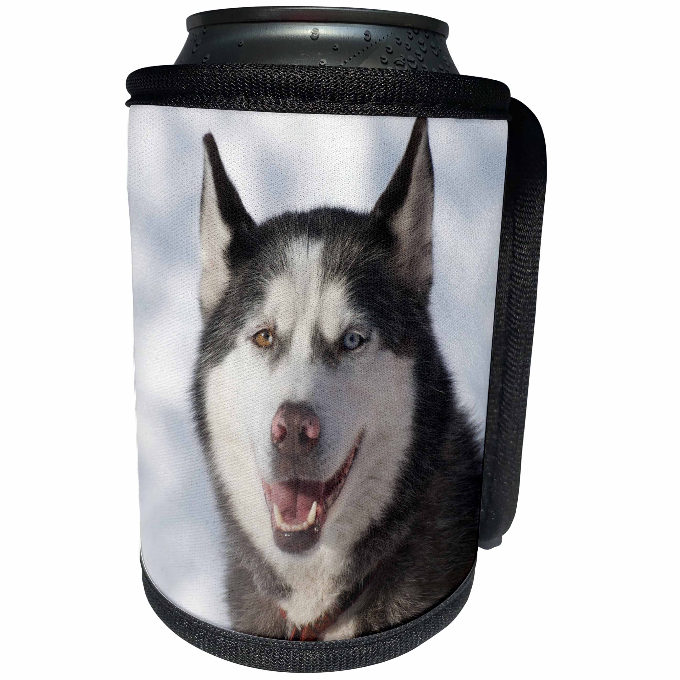 3dRose Danita Delimont - Dog - Sled dog, British Columbia. - Can Cooler Bottle Wrap (cc_248356)