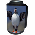 3dRose Danita Delimont - Bird - Atlantic Puffin flapping wings, Machias Seal Island, Canada - Can Cooler Bottle Wrap (cc_248387)