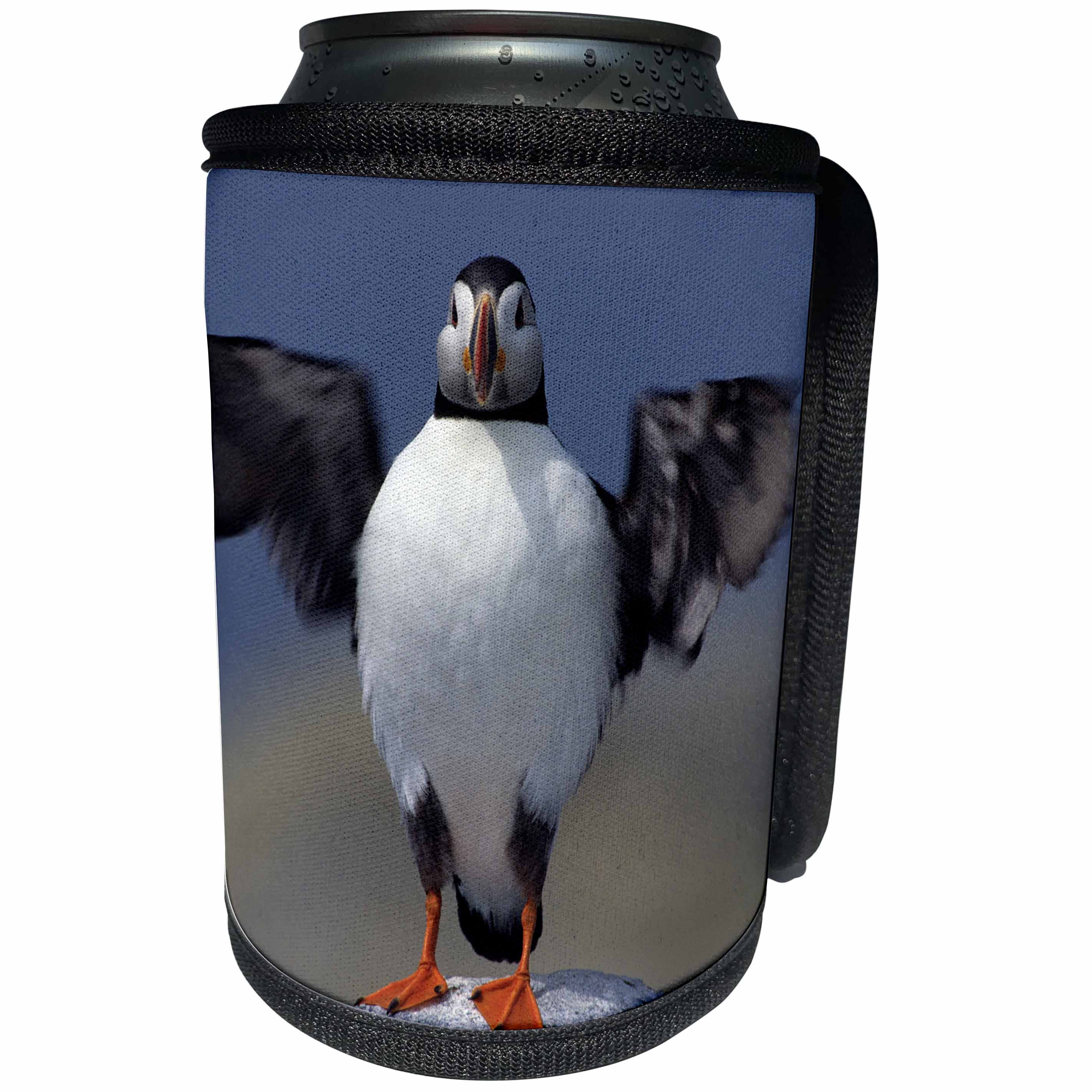 3dRose Danita Delimont - Bird - Atlantic Puffin flapping wings, Machias Seal Island, Canada - Can Cooler Bottle Wrap (cc_248387)