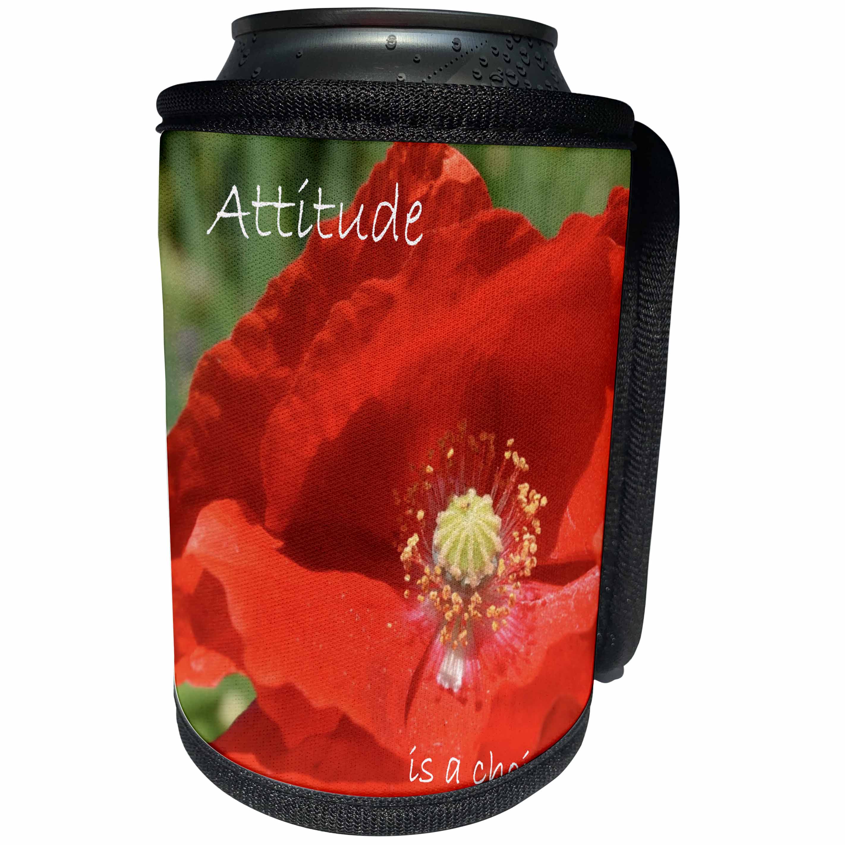 3dRose Patricia Sanders Flowers - Inspirational Attitude Poppy - Can Cooler Bottle Wrap (cc_24886)