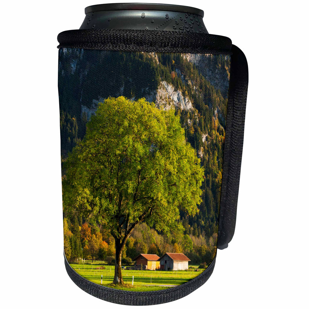 3dRose Danita Delimont - Hohenschwangau - Germany, Bavaria, Hohenschwangau, alpine landscape - Can Cooler Bottle Wrap (cc_248863)