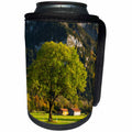 3dRose Danita Delimont - Hohenschwangau - Germany, Bavaria, Hohenschwangau, alpine landscape - Can Cooler Bottle Wrap (cc_248863)