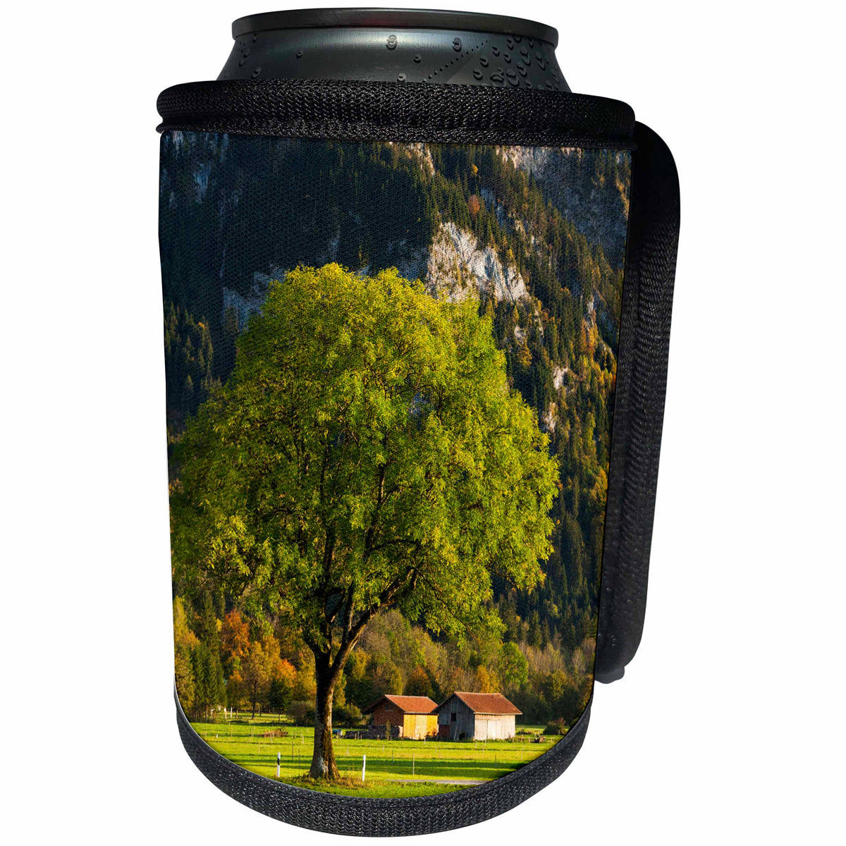 3dRose Danita Delimont - Hohenschwangau - Germany, Bavaria, Hohenschwangau, alpine landscape - Can Cooler Bottle Wrap (cc_248863)
