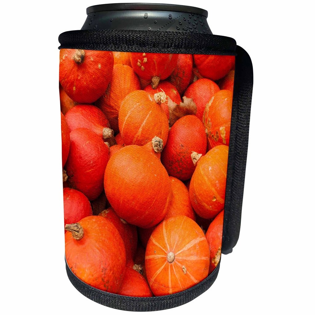 3dRose Danita Delimont - Ludwigsburg - Germany, Ludwigsburg, Bluhendes Barock Gardens, fall, pumpkins - Can Cooler Bottle Wrap (cc_248949)