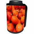3dRose Danita Delimont - Ludwigsburg - Germany, Ludwigsburg, Bluhendes Barock Gardens, fall, pumpkins - Can Cooler Bottle Wrap (cc_248949)