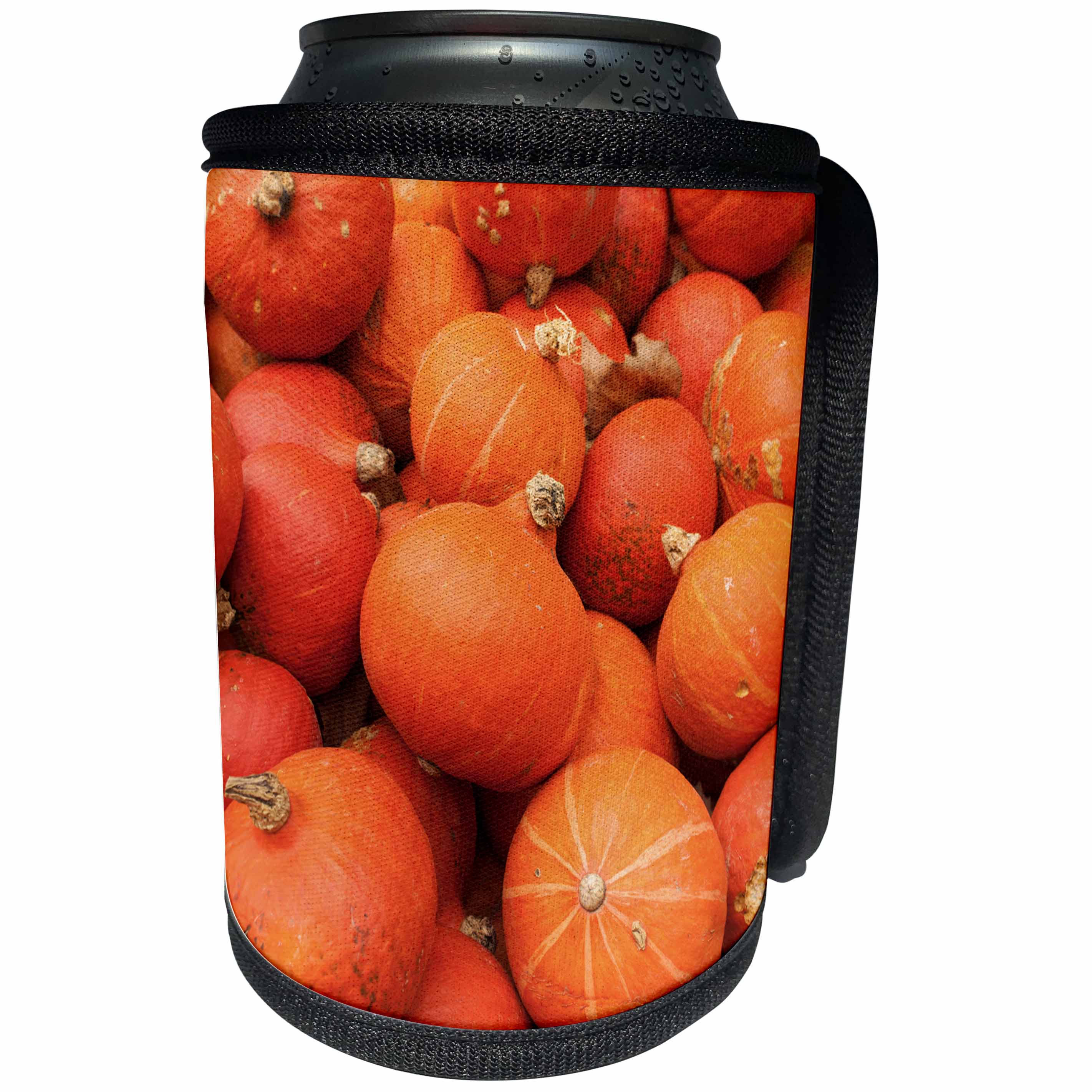 3dRose Danita Delimont - Ludwigsburg - Germany, Ludwigsburg, Bluhendes Barock Gardens, fall, pumpkins - Can Cooler Bottle Wrap (cc_248949)