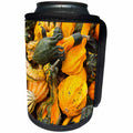 3dRose Danita Delimont - Ludwigsburg - Germany, Ludwigsburg, Bluhendes Barock Gardens, fall, squash - Can Cooler Bottle Wrap (cc_248950)