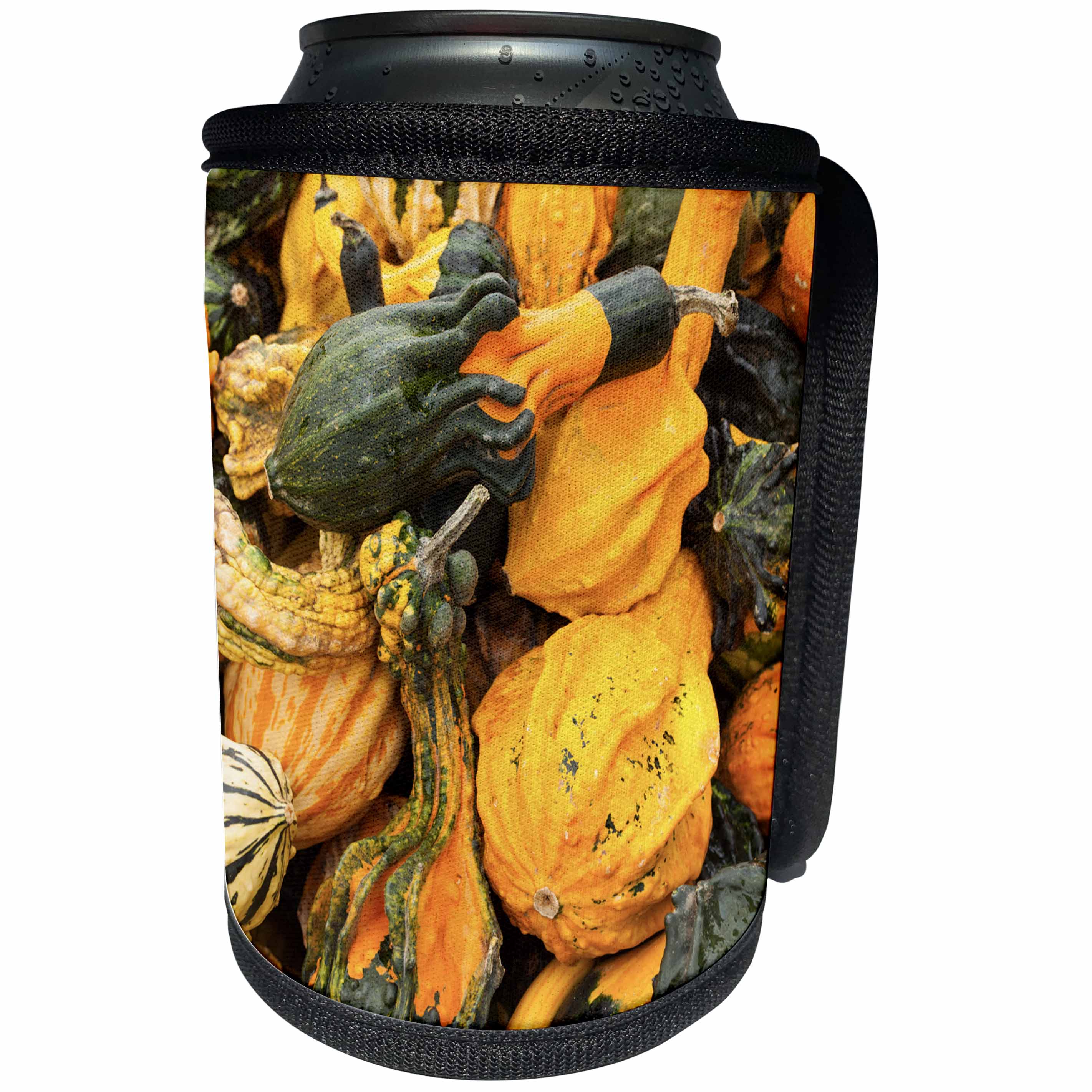 3dRose Danita Delimont - Ludwigsburg - Germany, Ludwigsburg, Bluhendes Barock Gardens, fall, squash - Can Cooler Bottle Wrap (cc_248950)