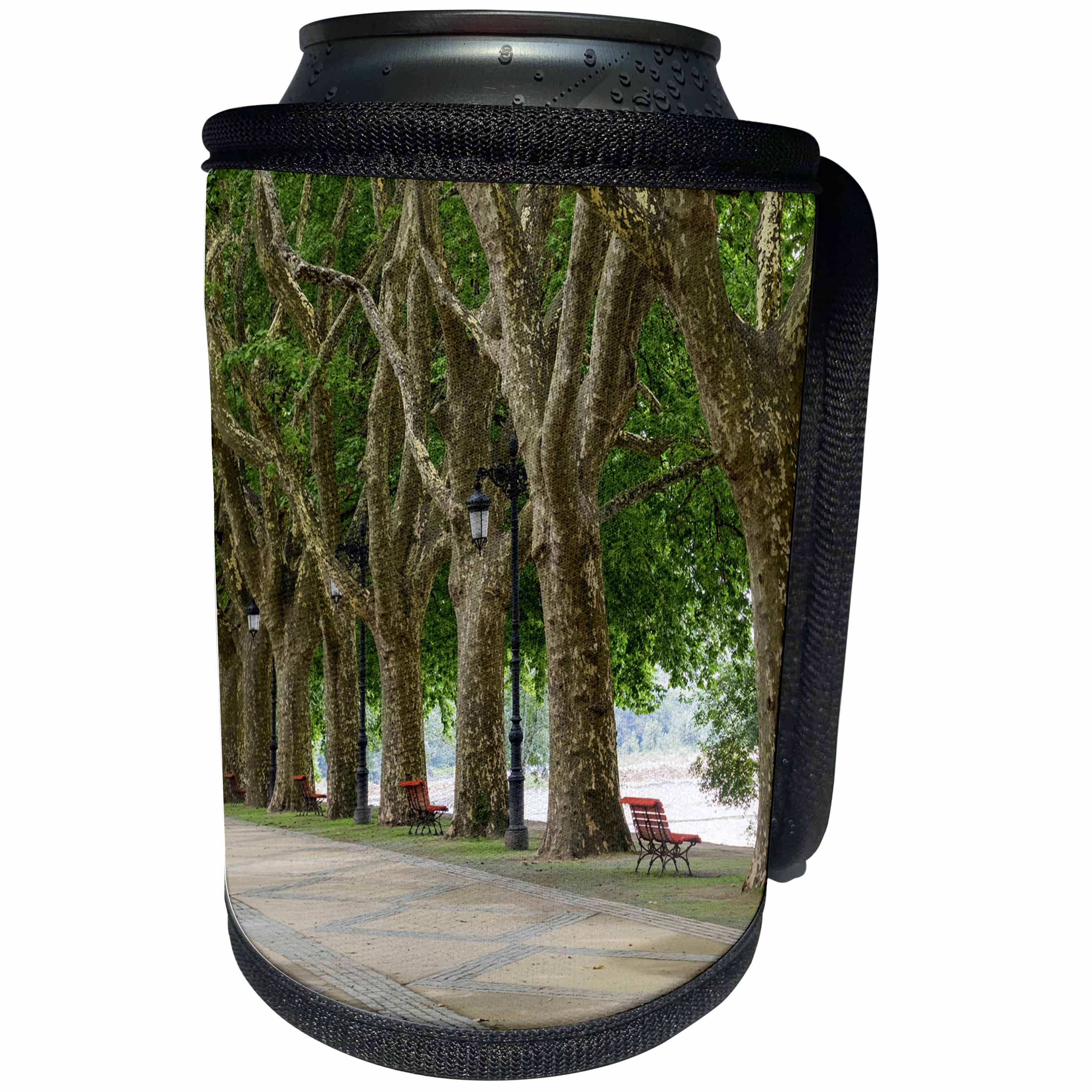 3dRose Danita Delimont - Portugal - Portugal, Ponte de Lima. Tree-lined walkway along the Lima River. - Can Cooler Bottle Wrap (cc_249399)