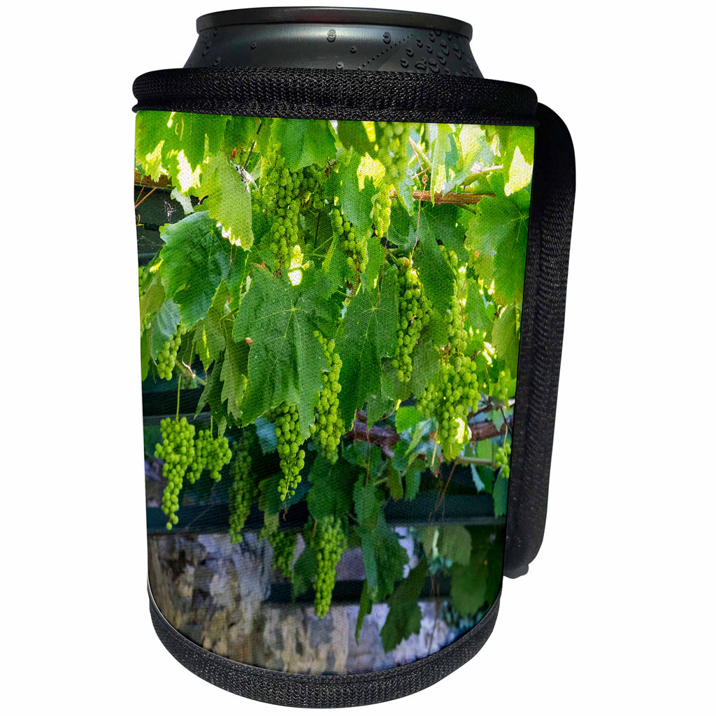 3dRose Danita Delimont - Douro Valley - Portugal, Douro Valley, grapes at a vineyard. - Can Cooler Bottle Wrap (cc_249436)