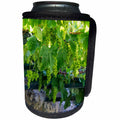 3dRose Danita Delimont - Douro Valley - Portugal, Douro Valley, grapes at a vineyard. - Can Cooler Bottle Wrap (cc_249436)