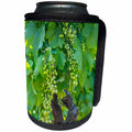 3dRose Danita Delimont - Douro Valley - Portugal, Douro Valley, Douro River, Wine grapes in Porto. - Can Cooler Bottle Wrap (cc_249477)