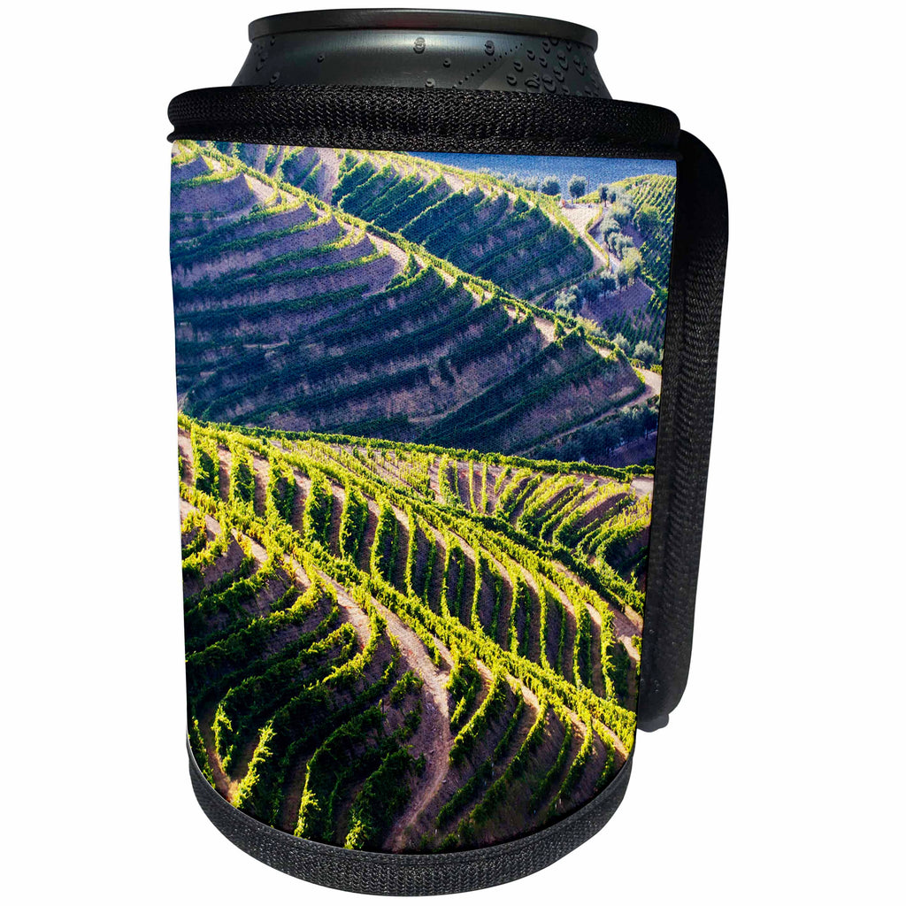 3dRose Danita Delimont - Douro Valley - Portugal, Douro Valley, Terraced Vineyards lining the hills 01 - Can Cooler Bottle Wrap (cc_249513)