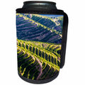 3dRose Danita Delimont - Douro Valley - Portugal, Douro Valley, Terraced Vineyards lining the hills 01 - Can Cooler Bottle Wrap (cc_249513)