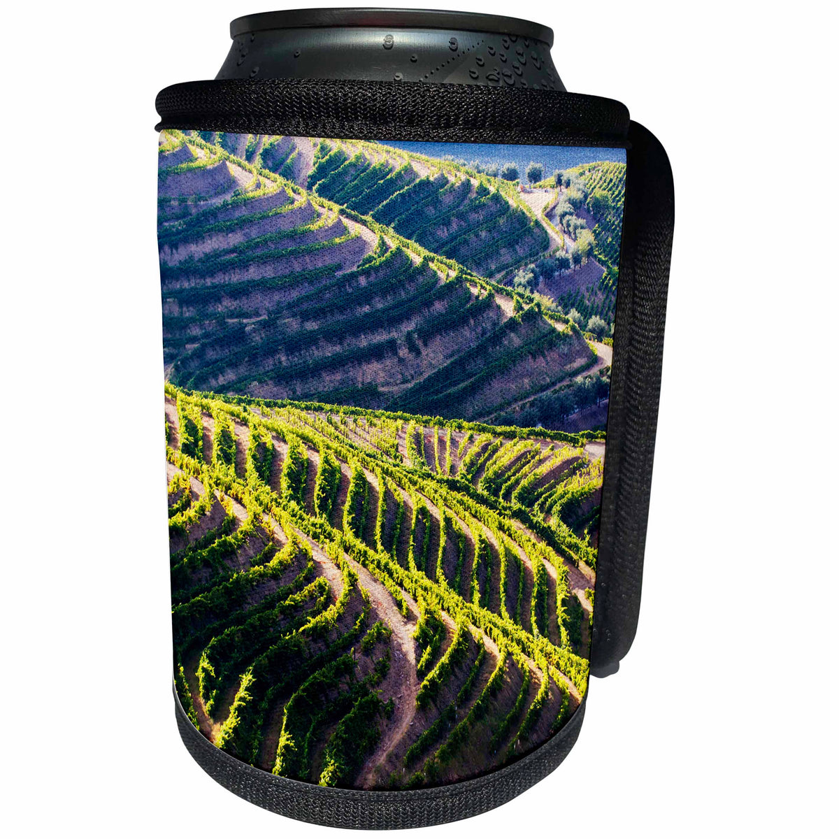 3dRose Danita Delimont - Douro Valley - Portugal, Douro Valley, Terraced Vineyards lining the hills 01 - Can Cooler Bottle Wrap (cc_249513)