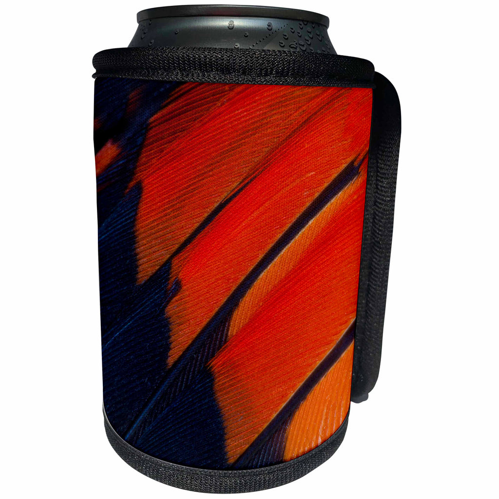 3dRose Danita Delimont - Feathers - Fanned out wing feathers in Red, Orange and Black - Can Cooler Bottle Wrap (cc_250240)