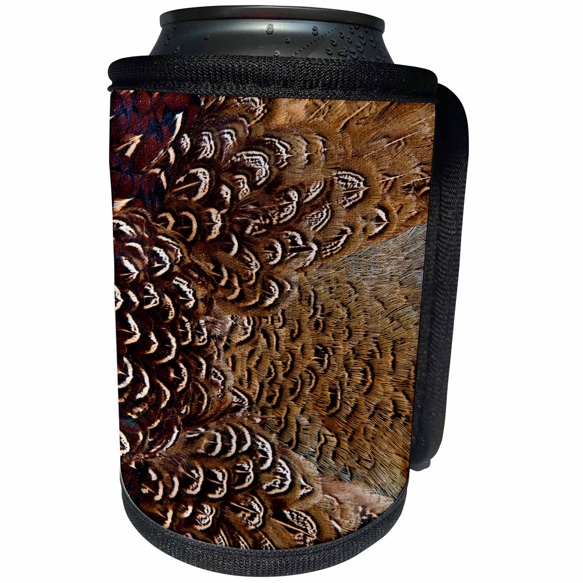 3dRose Danita Delimont - Feathers - Variations on feather colors of the Ring-necked Pheasant 01 - Can Cooler Bottle Wrap (cc_250252)