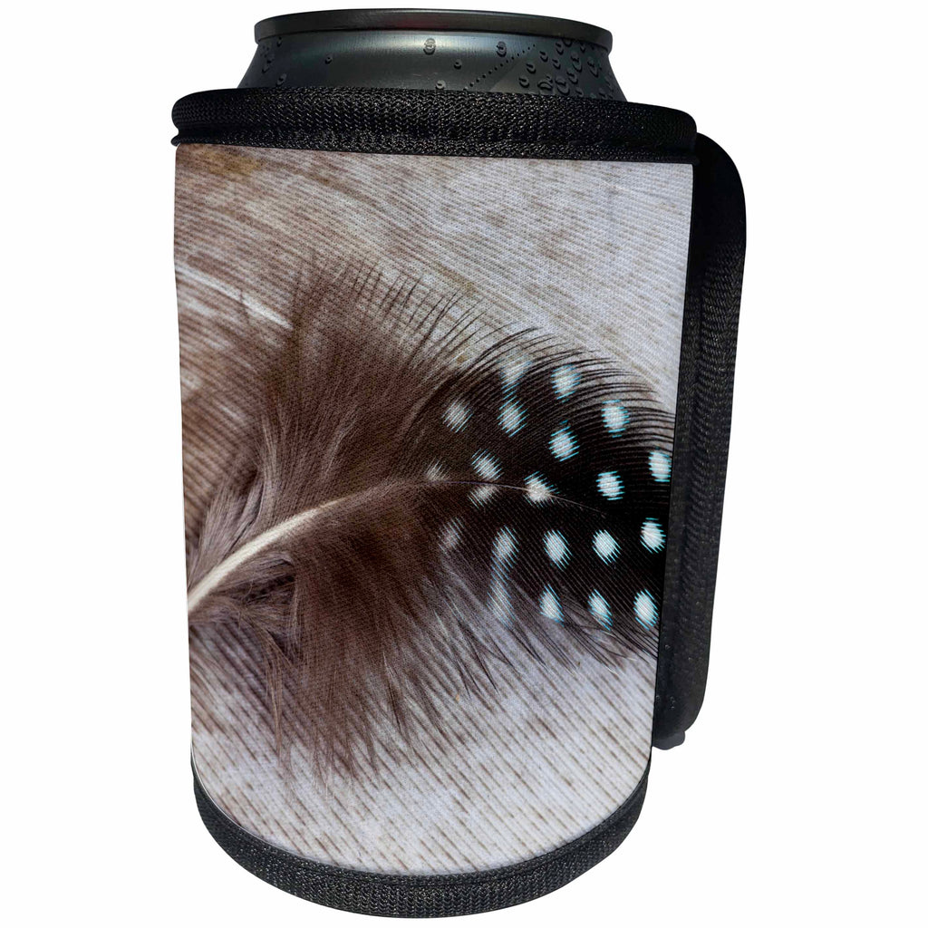 3dRose Danita Delimont - Feathers - Helmeted Guinea fowl feather on Egyptian goose feather - Can Cooler Bottle Wrap (cc_250256)