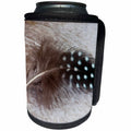 3dRose Danita Delimont - Feathers - Helmeted Guinea fowl feather on Egyptian goose feather - Can Cooler Bottle Wrap (cc_250256)