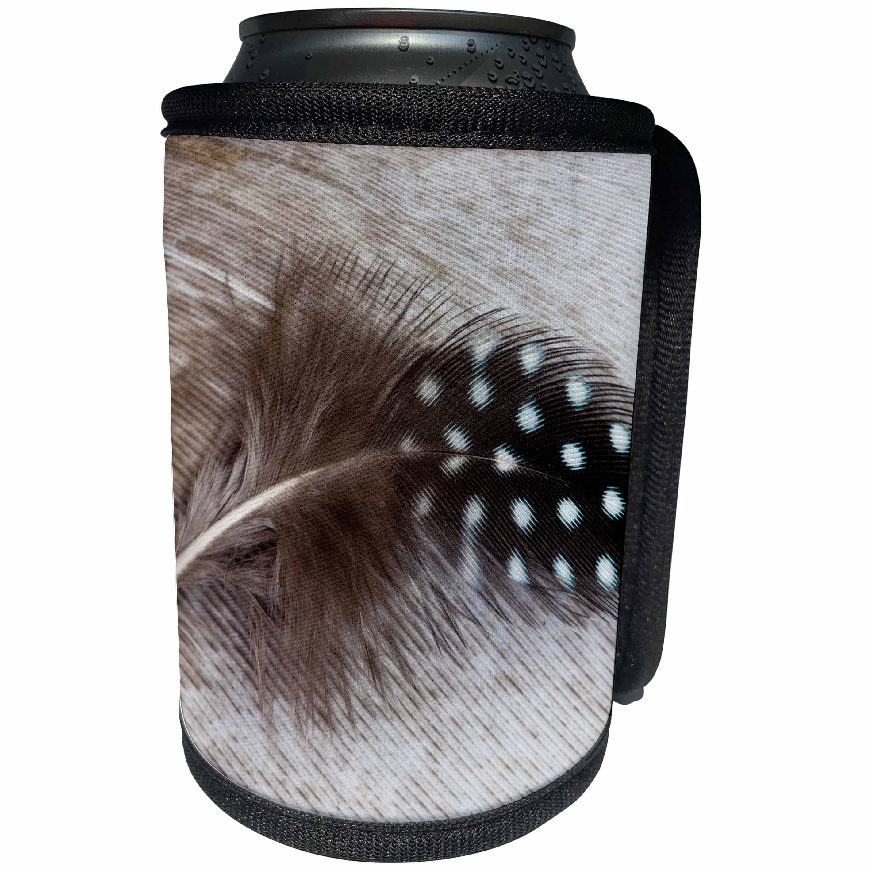 3dRose Danita Delimont - Feathers - Helmeted Guinea fowl feather on Egyptian goose feather - Can Cooler Bottle Wrap (cc_250256)