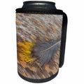 3dRose Danita Delimont - Feathers - Feather pattern and design - Can Cooler Bottle Wrap (cc_250257)