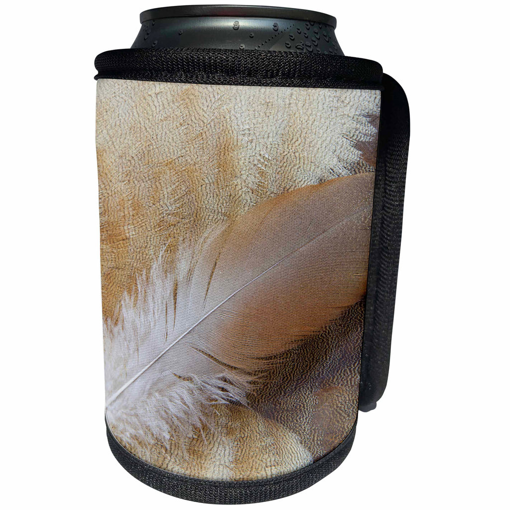 3dRose Danita Delimont - Feathers - Feather lying on Egyptian Goose breast feathers 01 - Can Cooler Bottle Wrap (cc_250277)