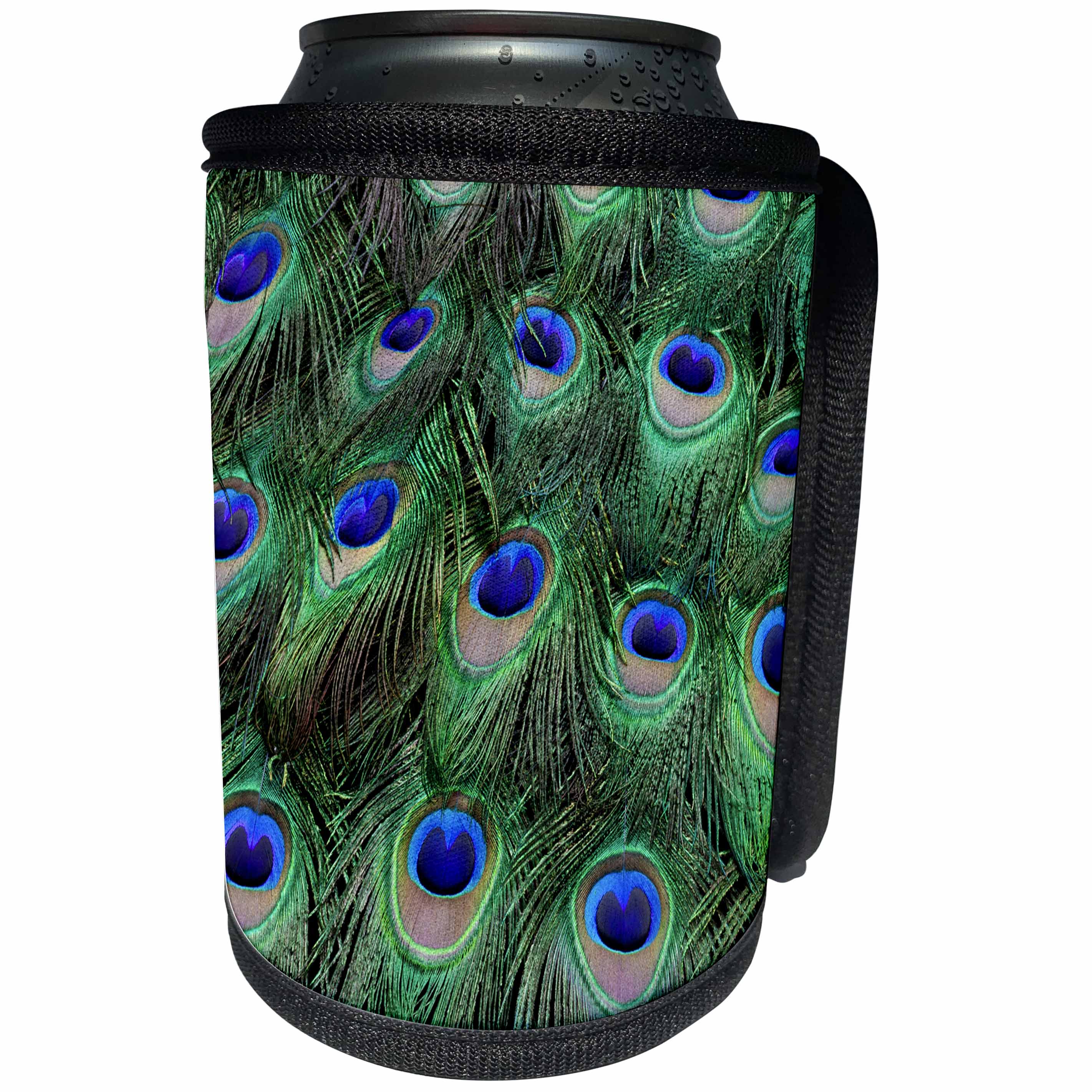 3dRose Danita Delimont - Feathers - Eye spots on Male Peacock tail feathers fanned out in designed pattern - Can Cooler Bottle Wrap (cc_250296)