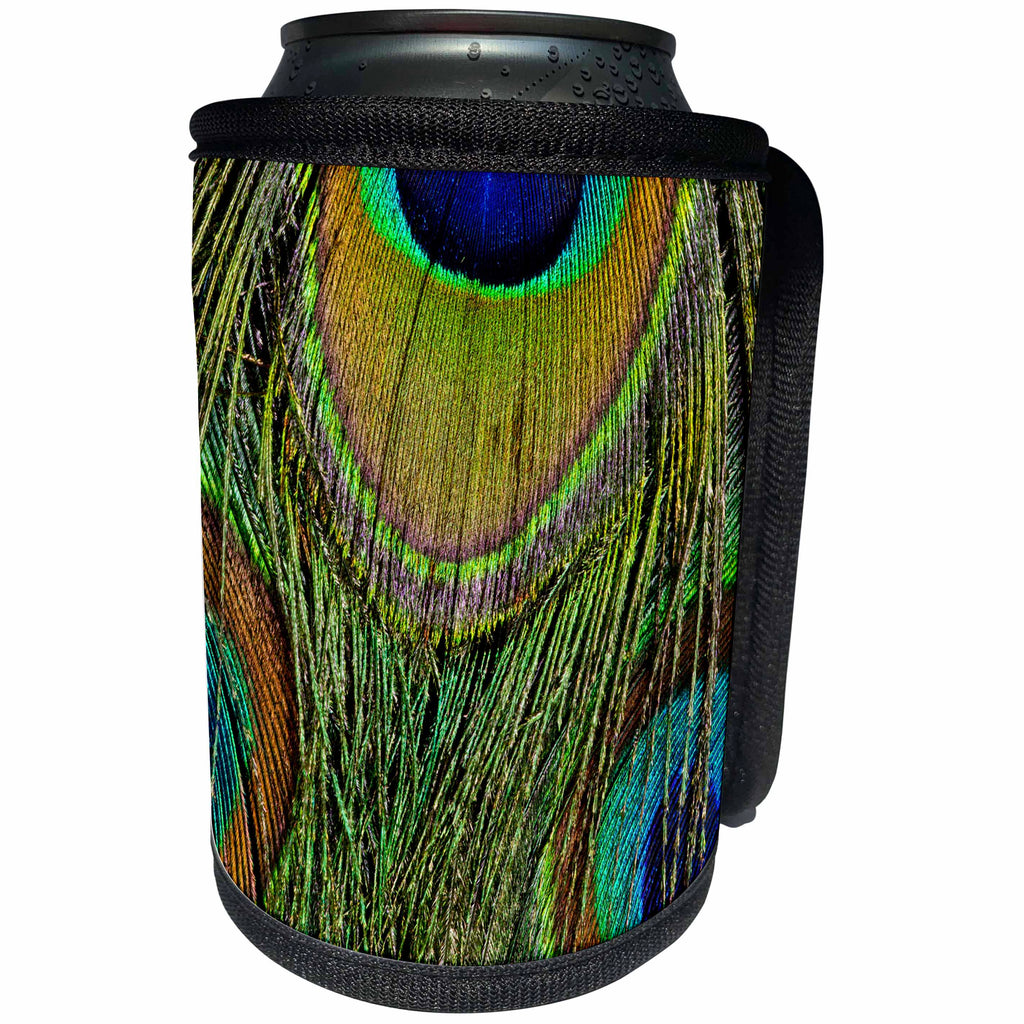3dRose Danita Delimont - Feathers - Male peacock display tail feathers 01 - Can Cooler Bottle Wrap (cc_250297)