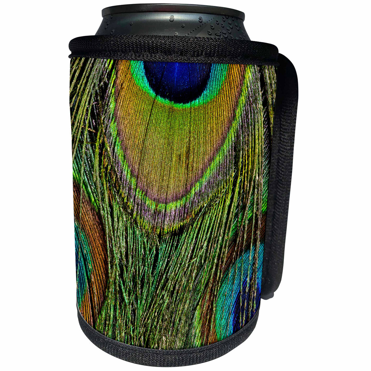 3dRose Danita Delimont - Feathers - Male peacock display tail feathers 01 - Can Cooler Bottle Wrap (cc_250297)