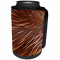 3dRose Danita Delimont - Feathers - Drake breast feathers of the Mandarin Duck - Can Cooler Bottle Wrap (cc_250310)
