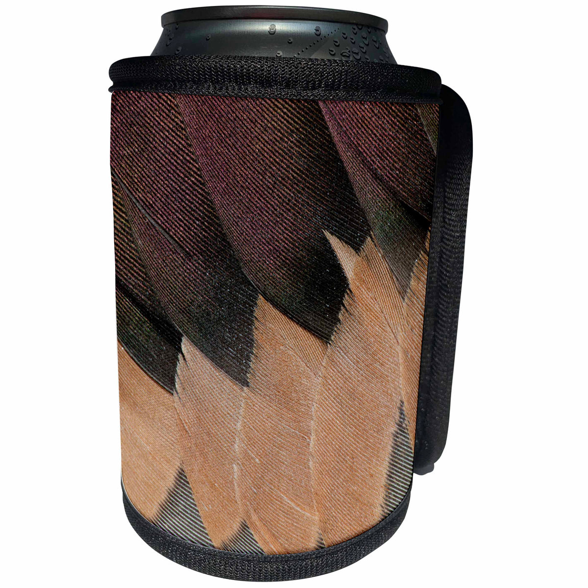 3dRose Danita Delimont - Feathers - Northern Pintail Drake Wings fanned out - Can Cooler Bottle Wrap (cc_250311)