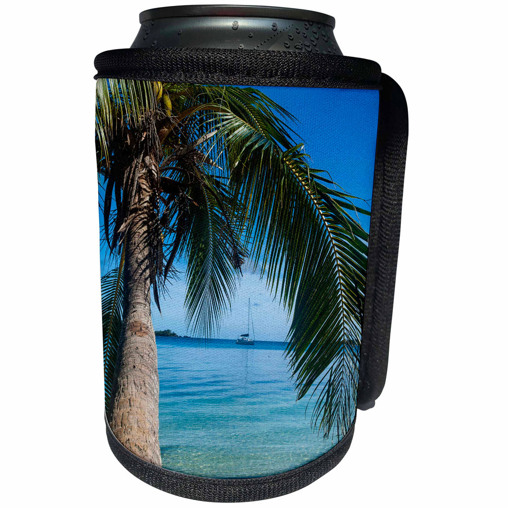 3dRose Danita Delimont - Fiji - Palm tree, Nanuya Lailai Island, Blue Lagoon, Yasawa, Fiji - Can Cooler Bottle Wrap (cc_250327)