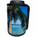 3dRose Danita Delimont - Fiji - Palm tree, Nanuya Lailai Island, Blue Lagoon, Yasawa, Fiji - Can Cooler Bottle Wrap (cc_250327)